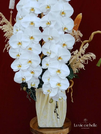 Ngự Quang