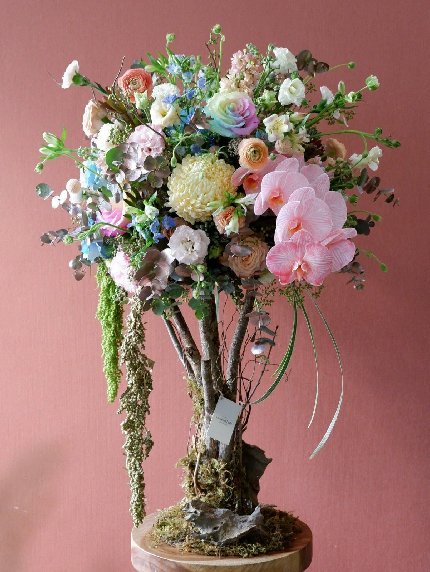 Meadow Muse
