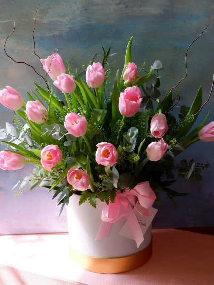 Lovely Tulips