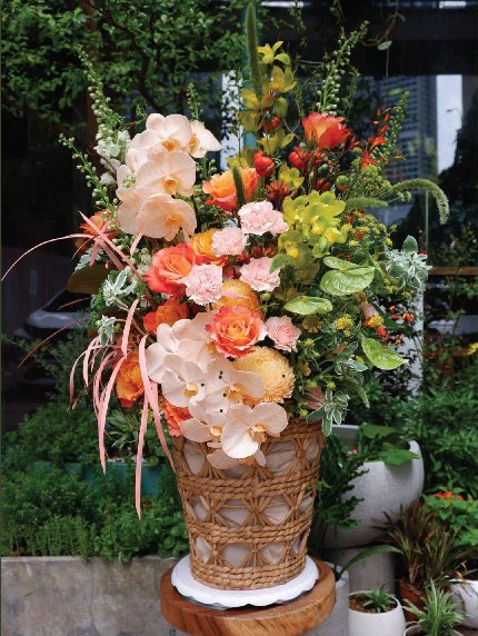 Tropical Paradise: