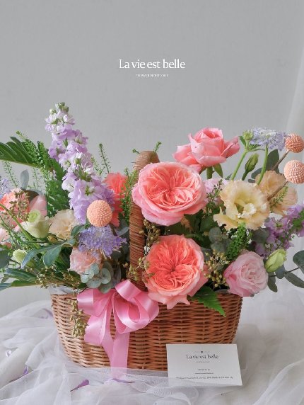 Pastel Perfection
