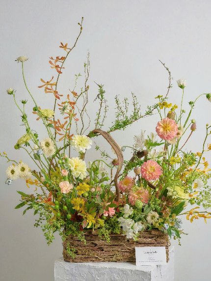 Wild Elegance