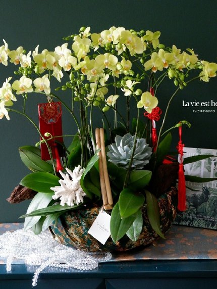 Tấn Lộc