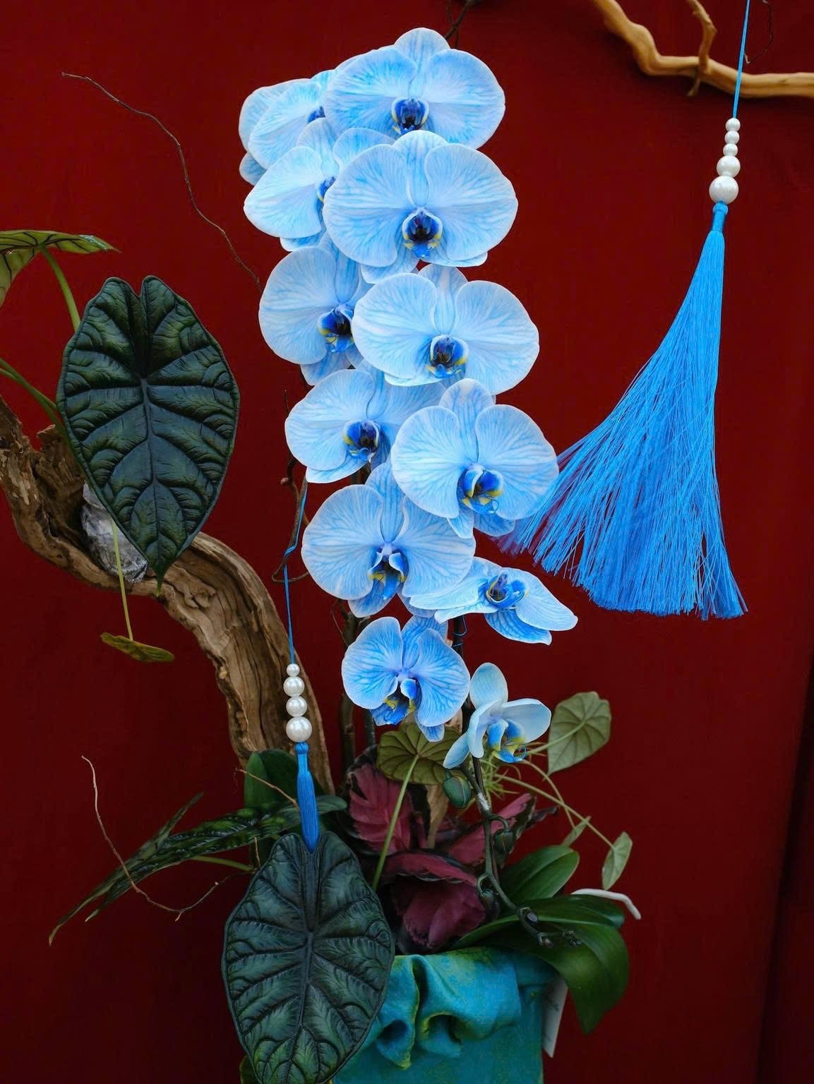 Diễm Ngự