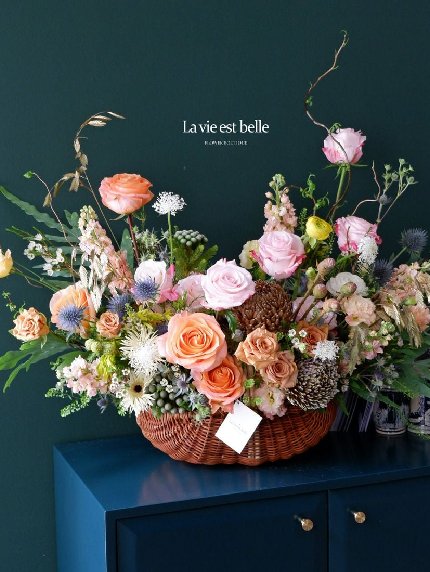 Vibrant Blooms