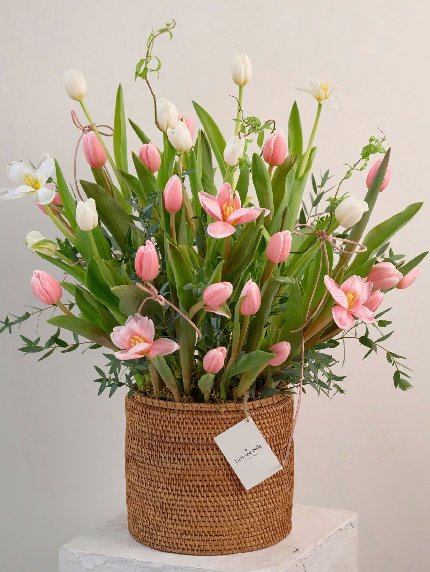 Whispers of Spring