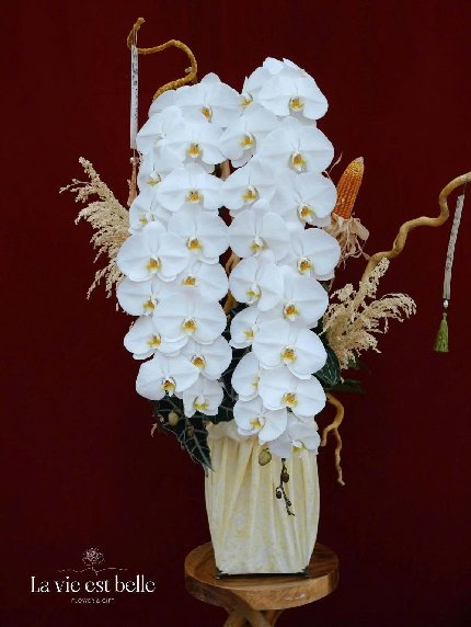 Ngự Quang