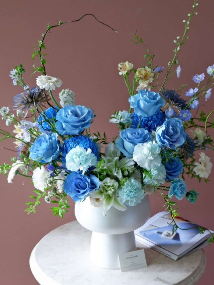 Dreams in Bloom