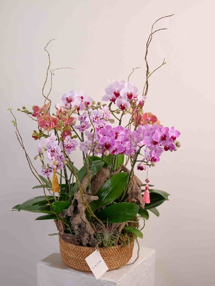 Lặng Yên