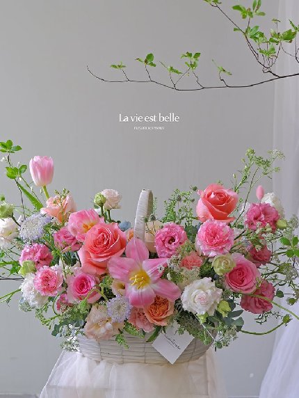 Blooming Garden