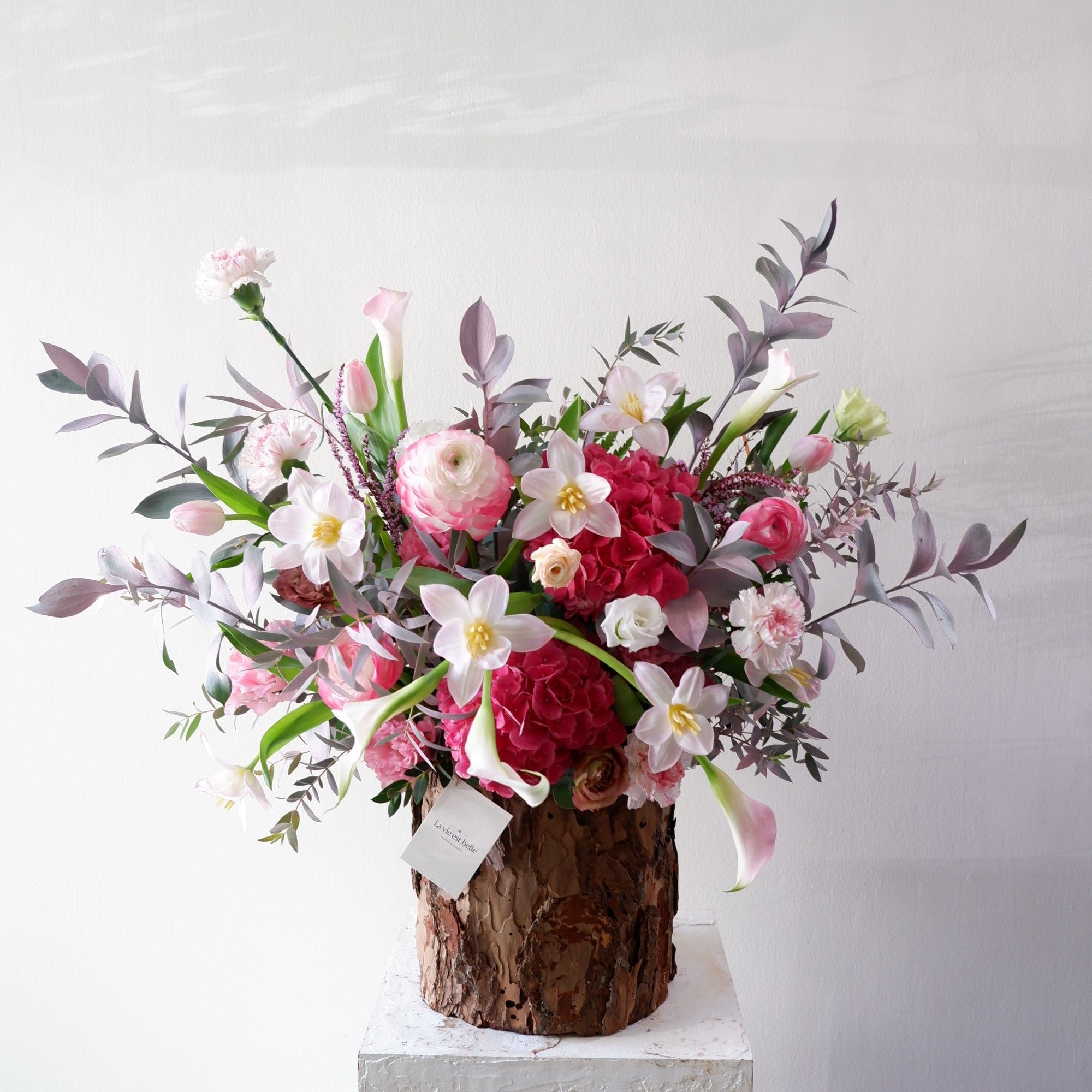 Bloom Brilliance