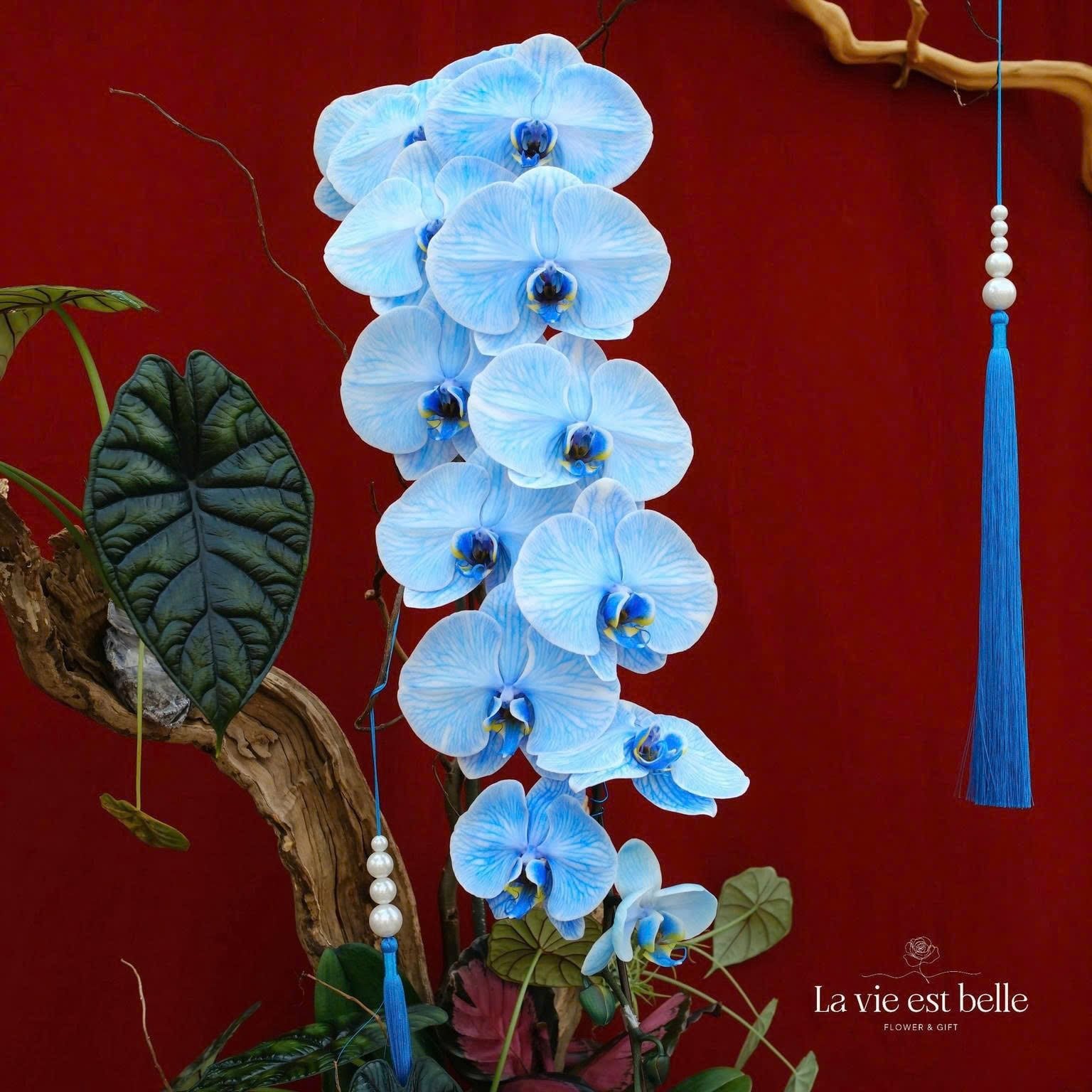 Diễm Ngự