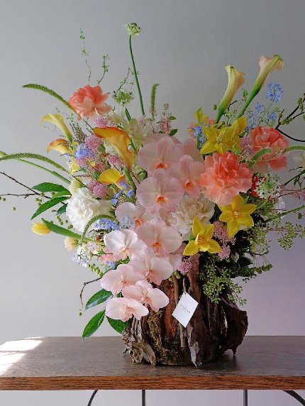 Blushing Blooms