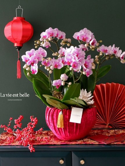 Tài Lộc