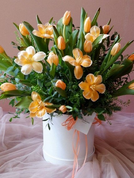 Sweet Orange