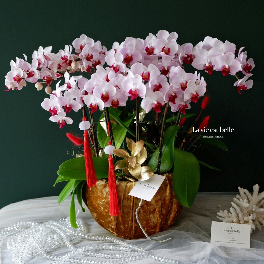 Vượng Khí