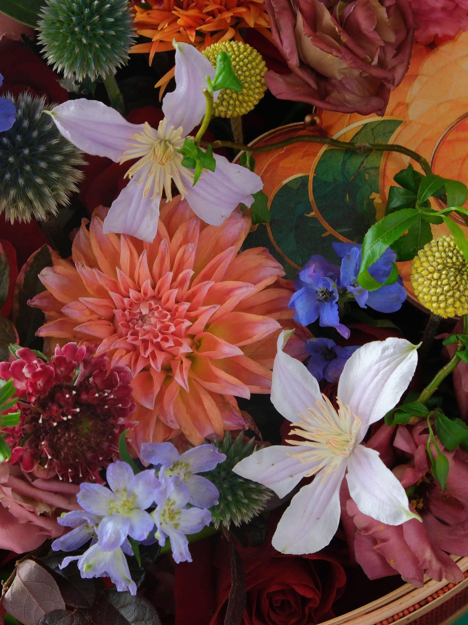 Festive Bloom