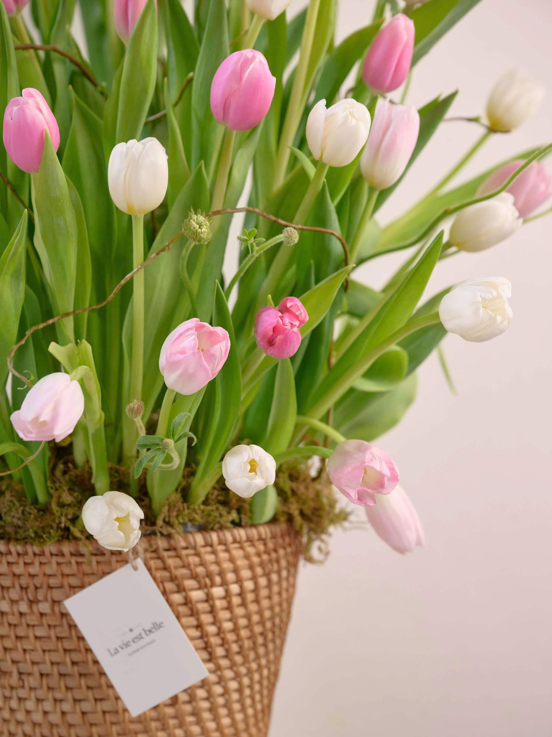 Tulip Mirage