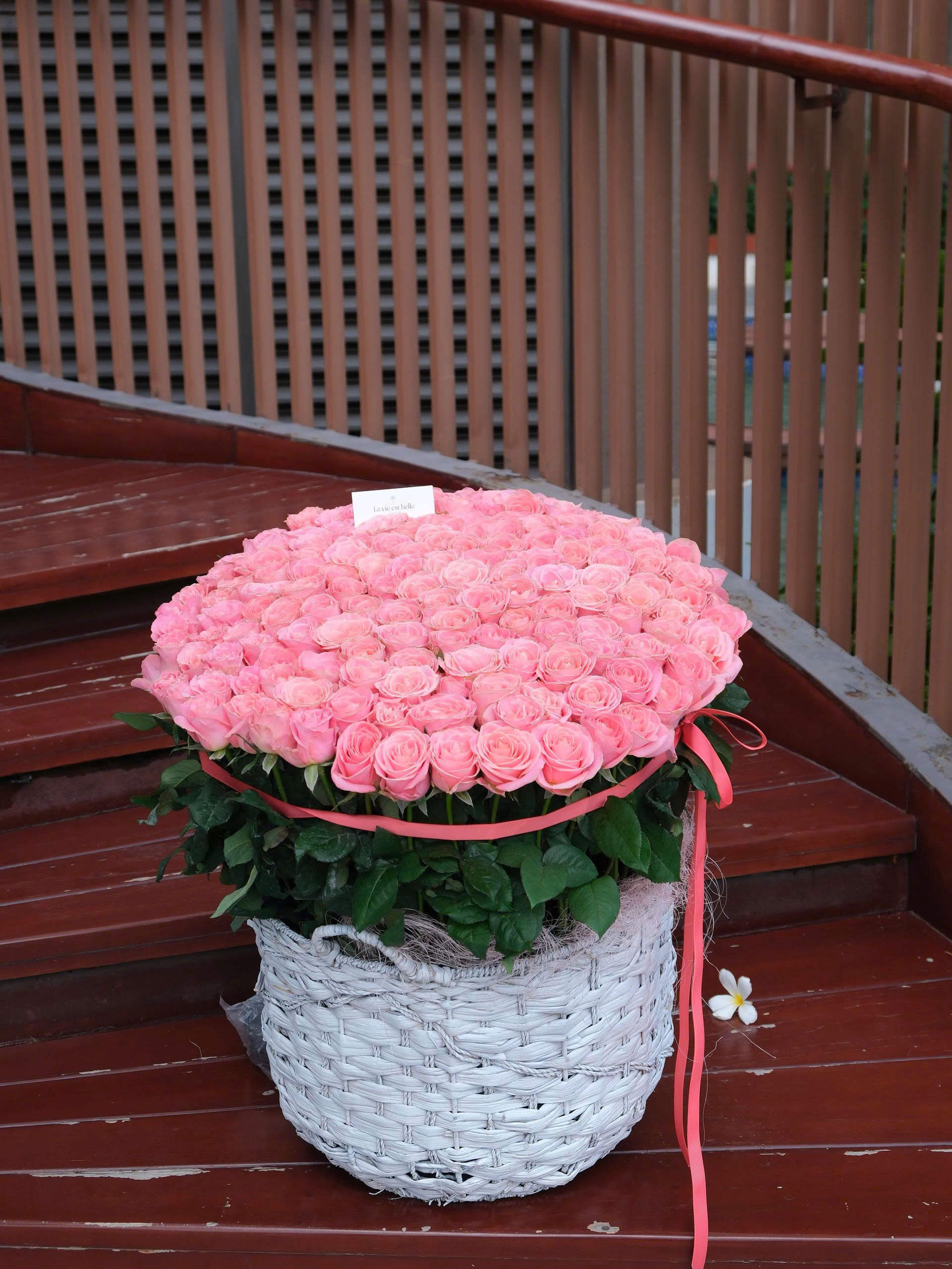 Rosethorne