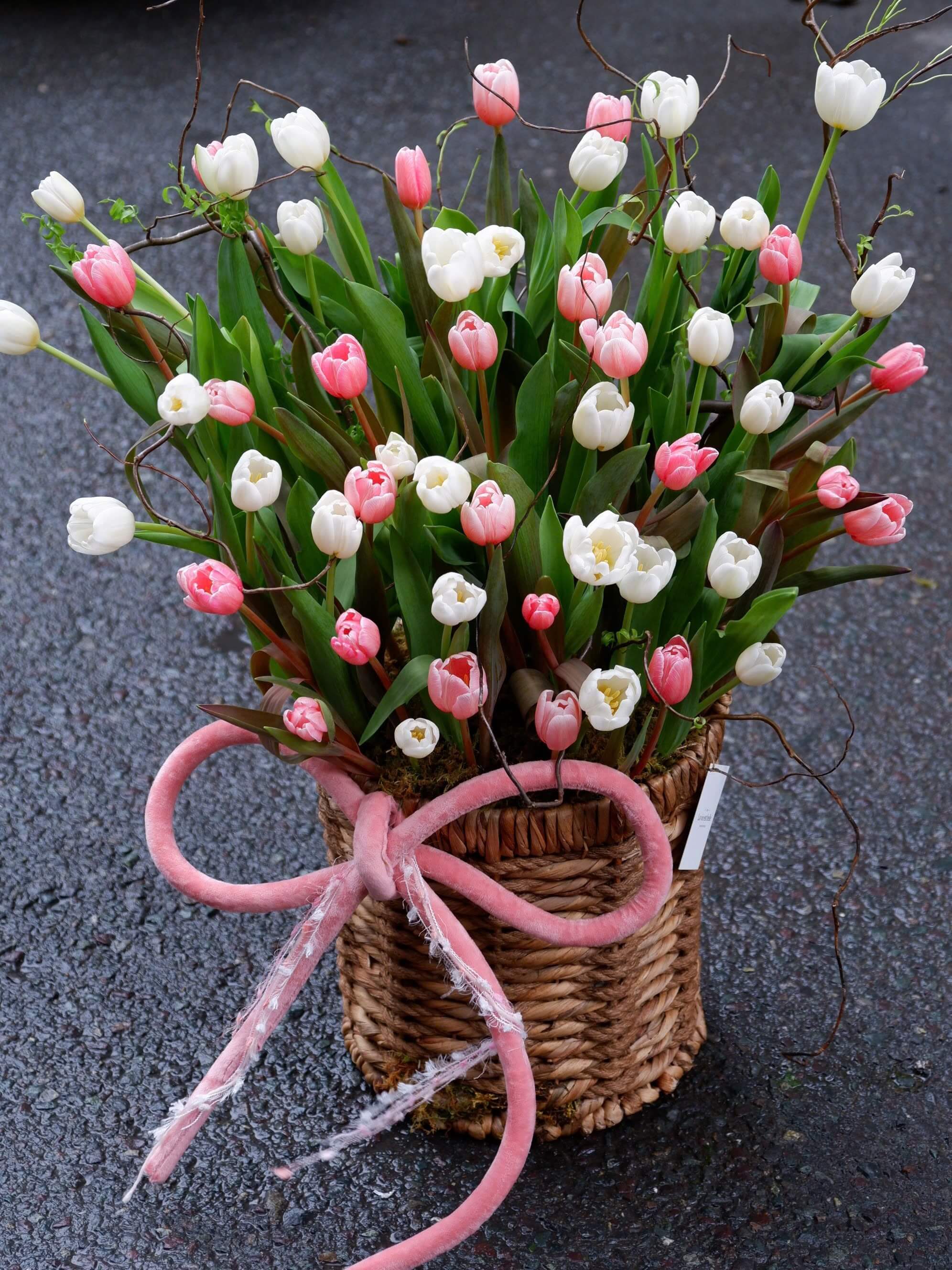 Fleur de Velours