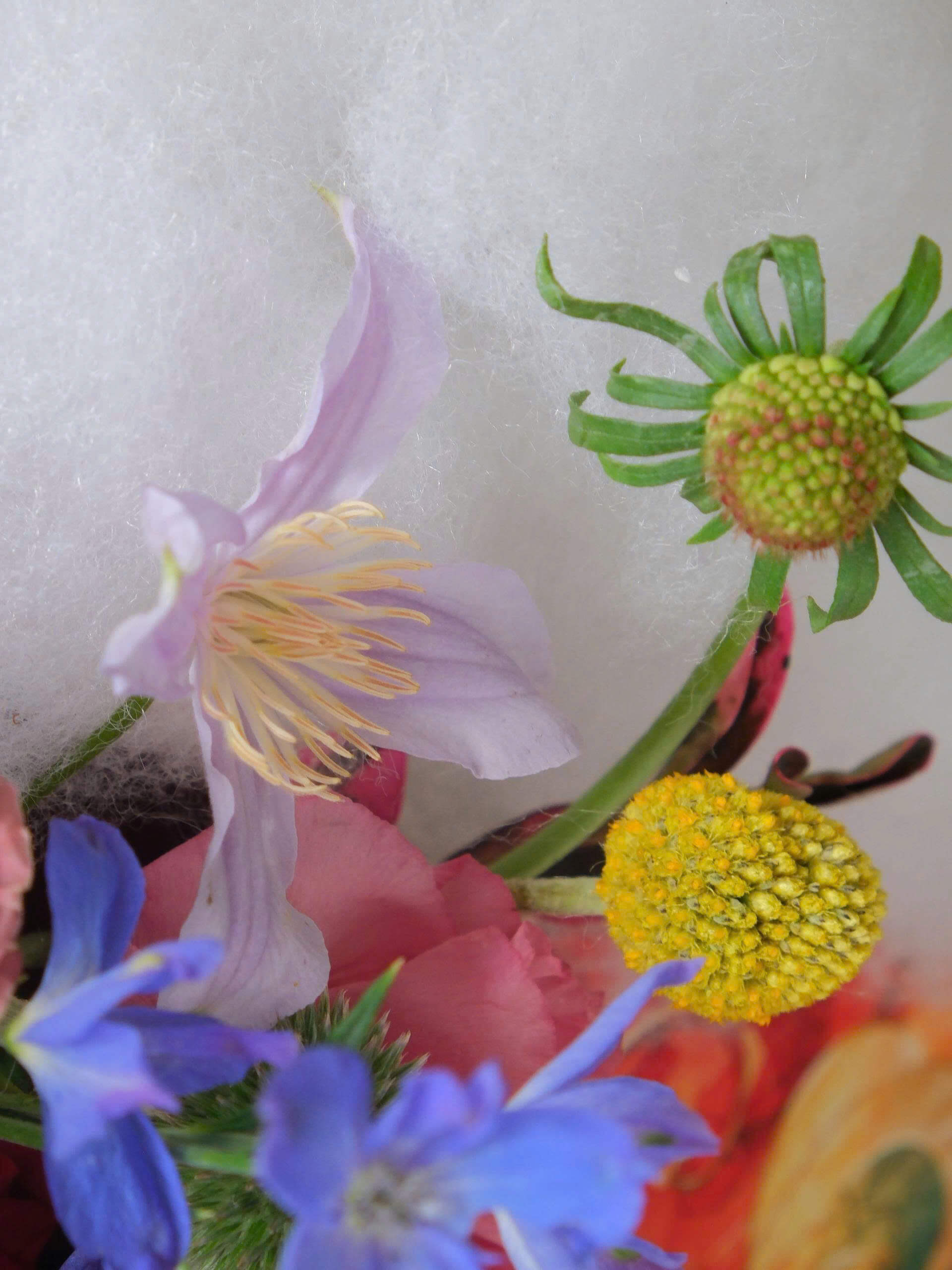 Festive Bloom