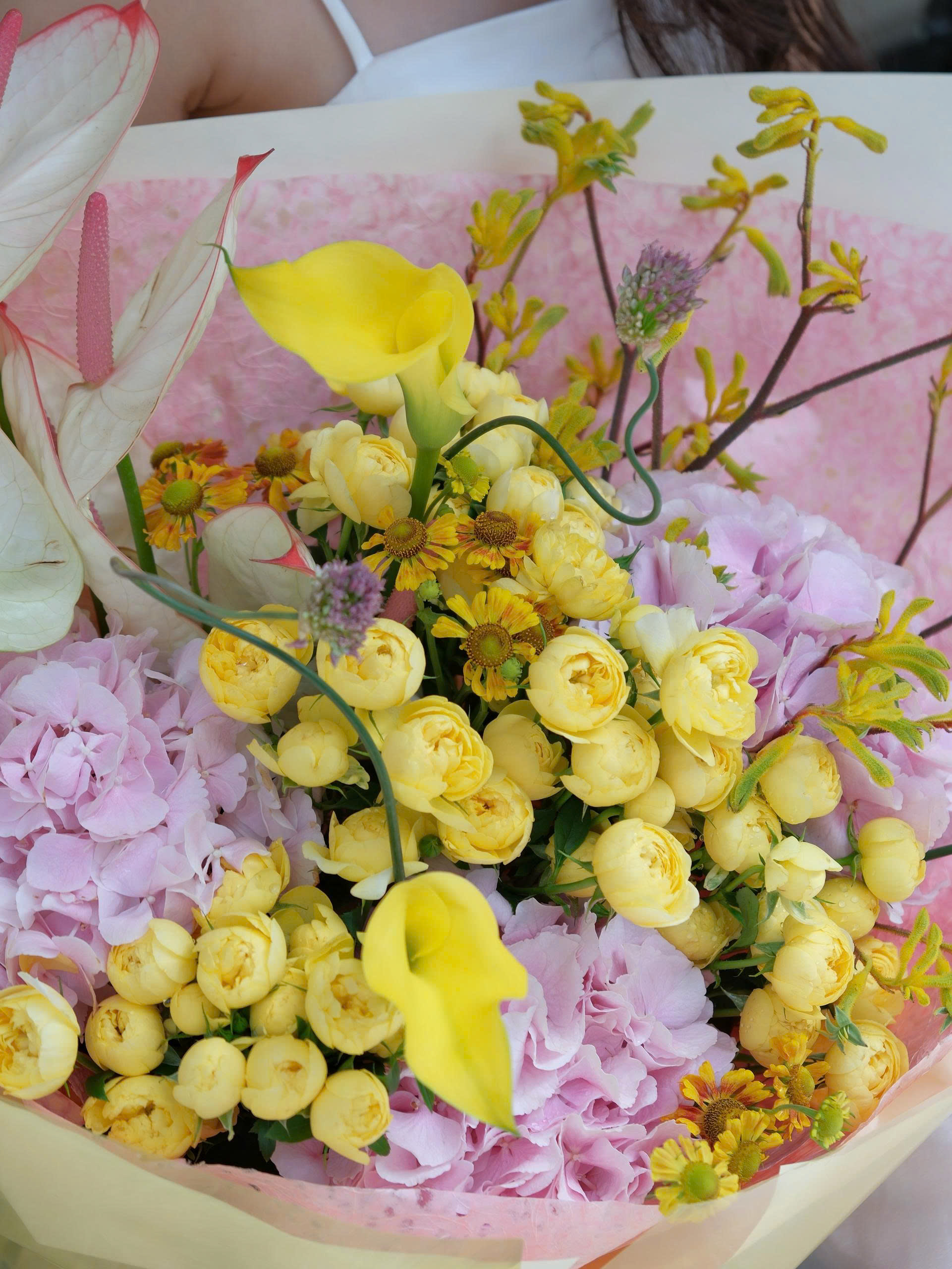 Whispering Hydrangea