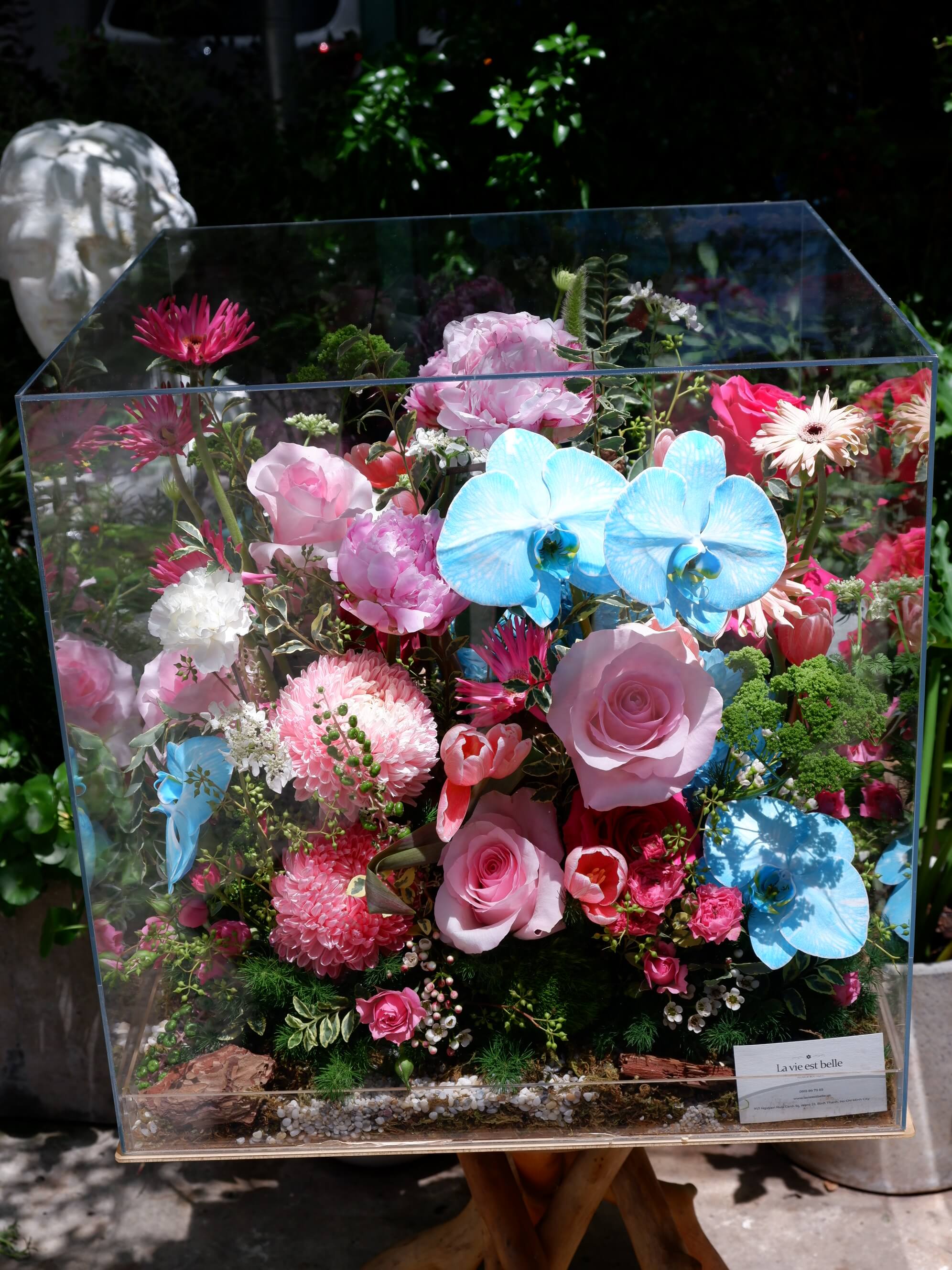 Flora Fantasy