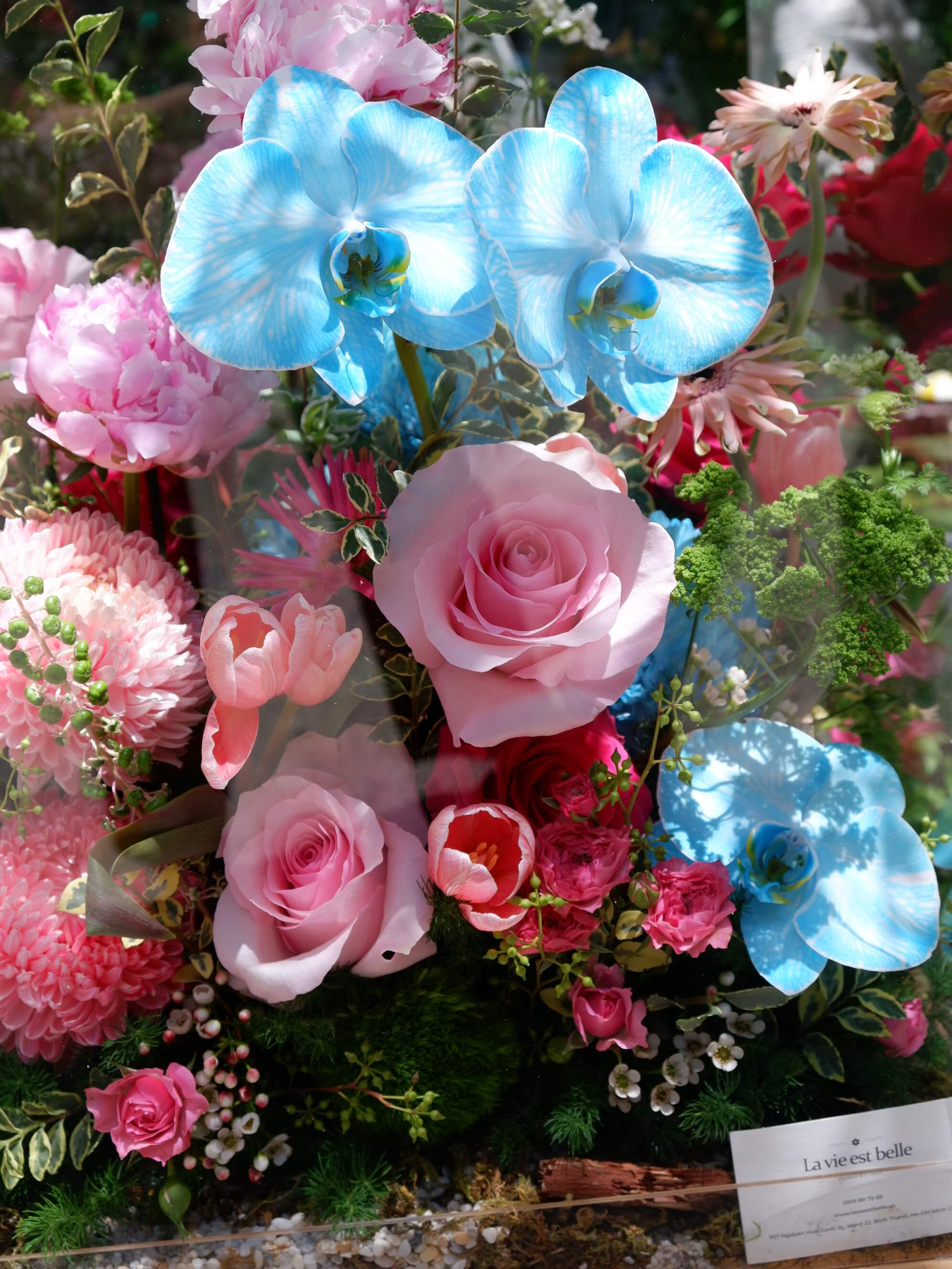 Flora Fantasy
