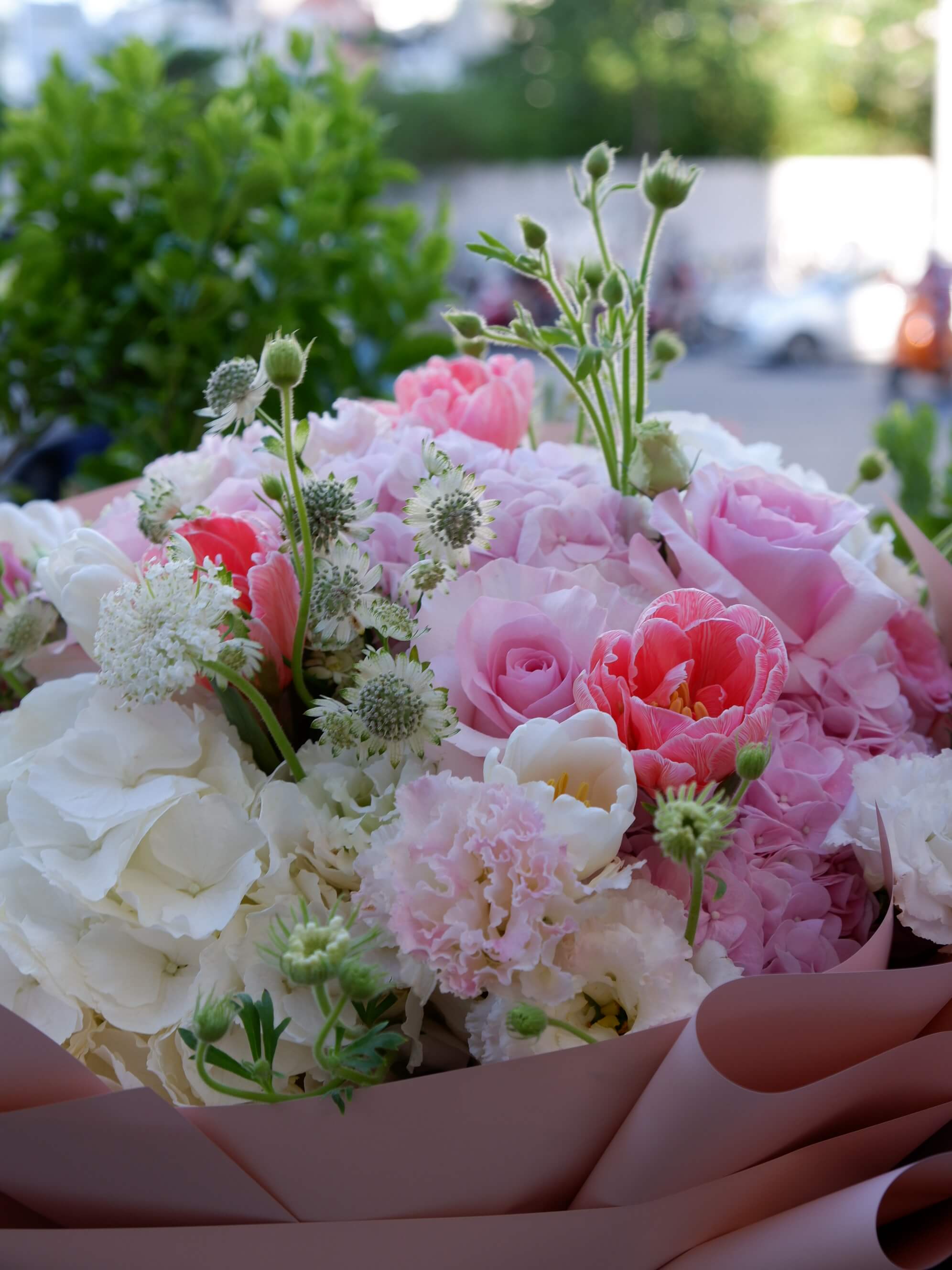 Petal Cloud
