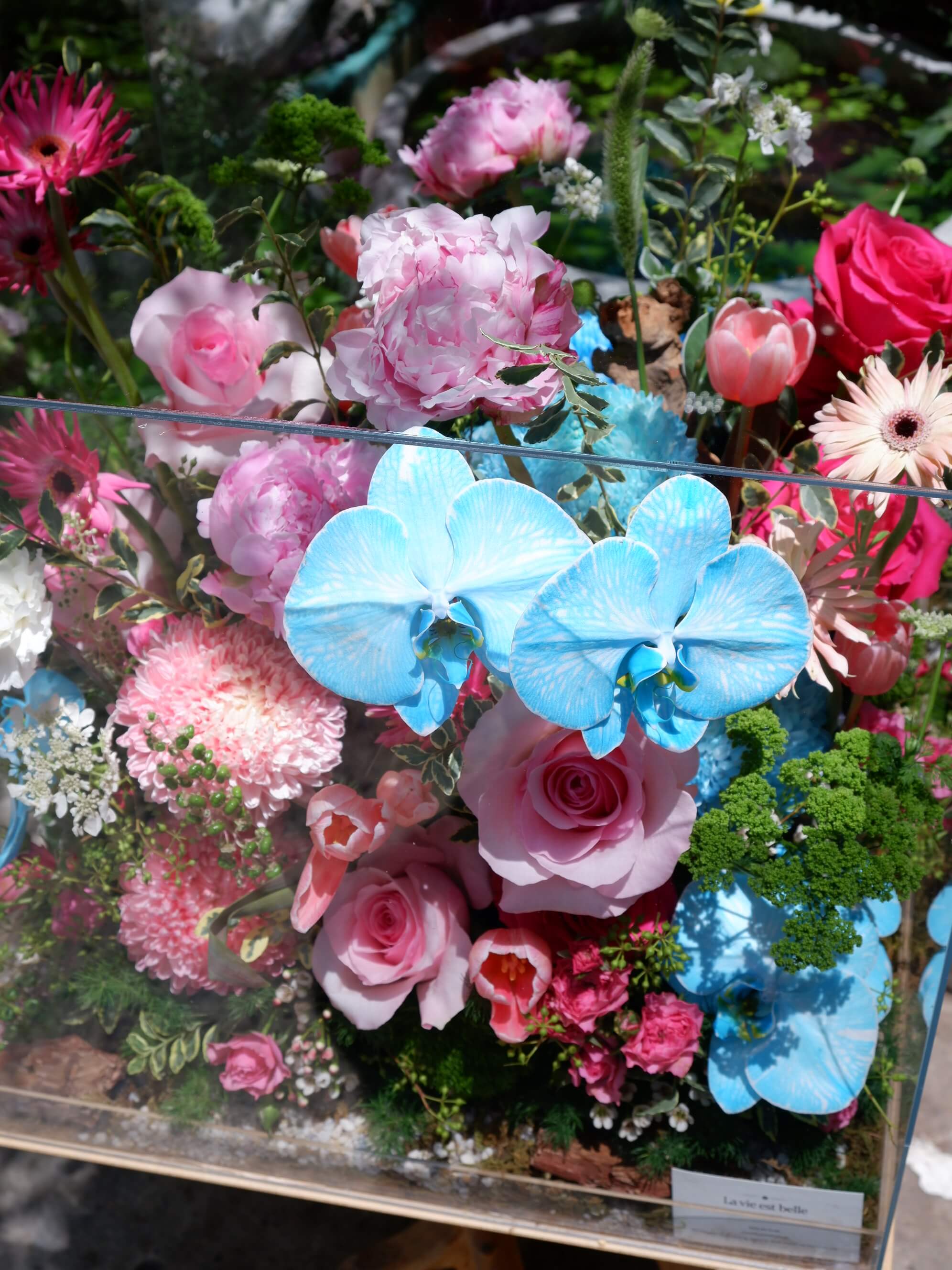 Flora Fantasy