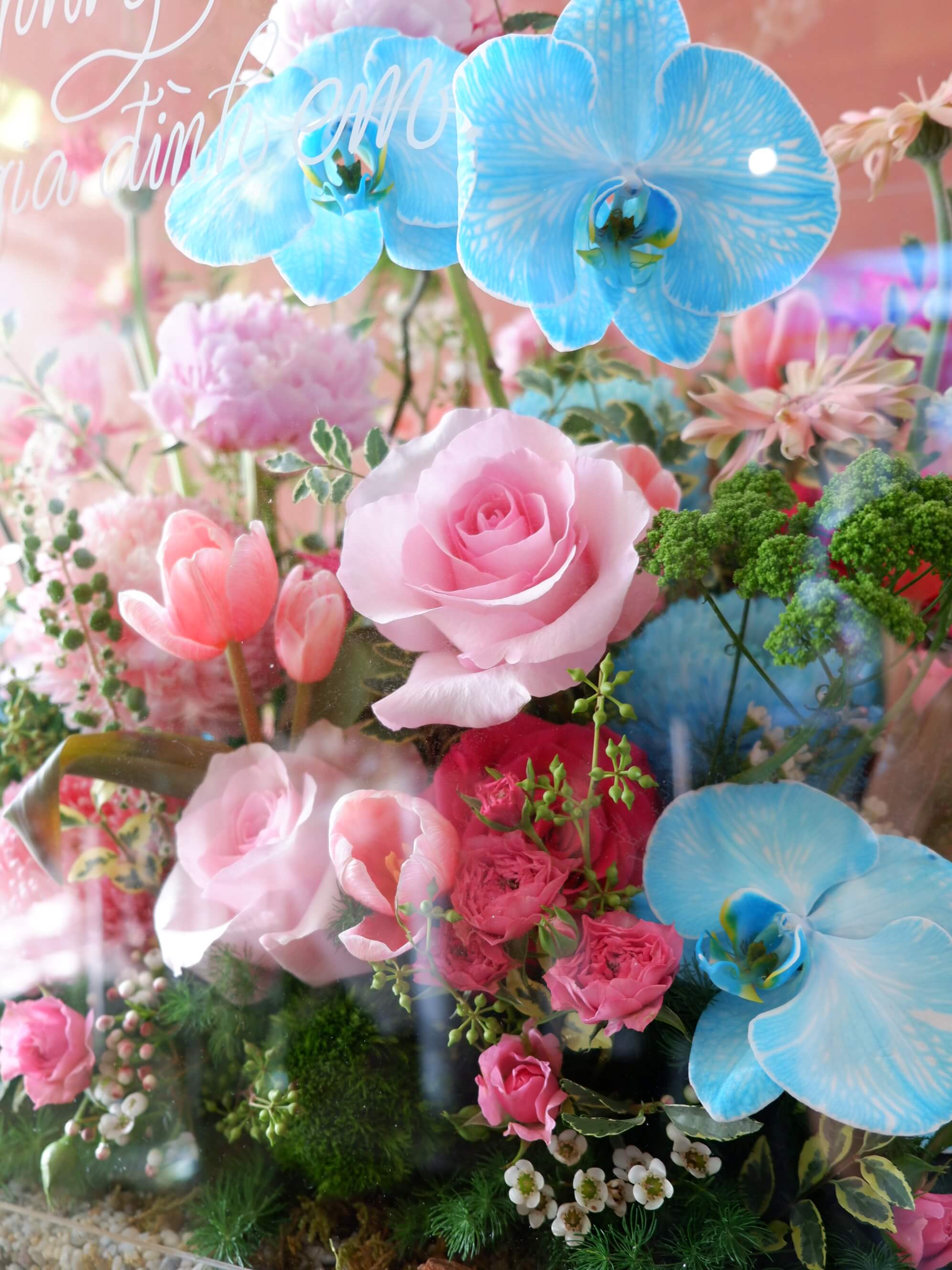 Flora Fantasy