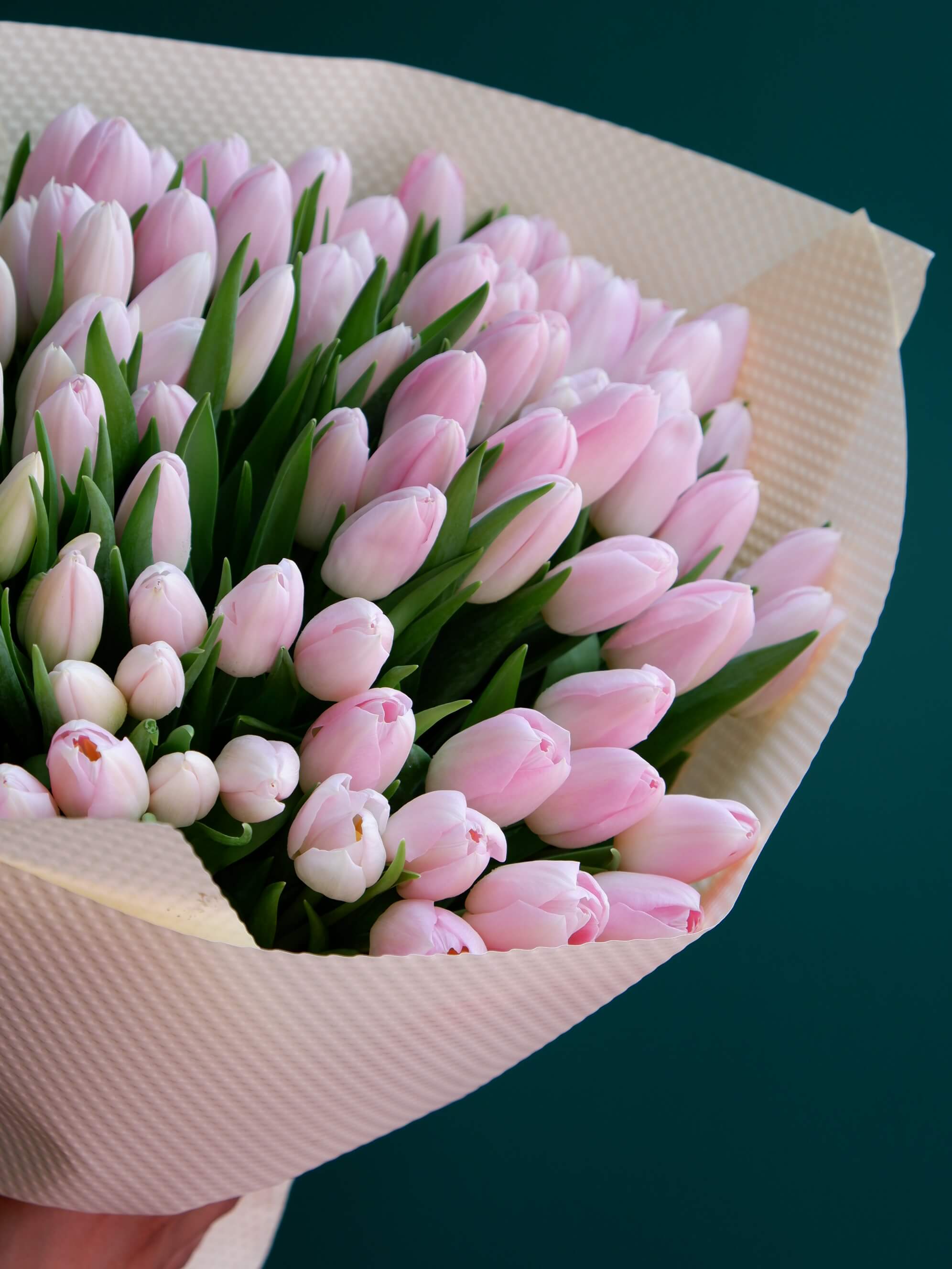 Whispers of Spring