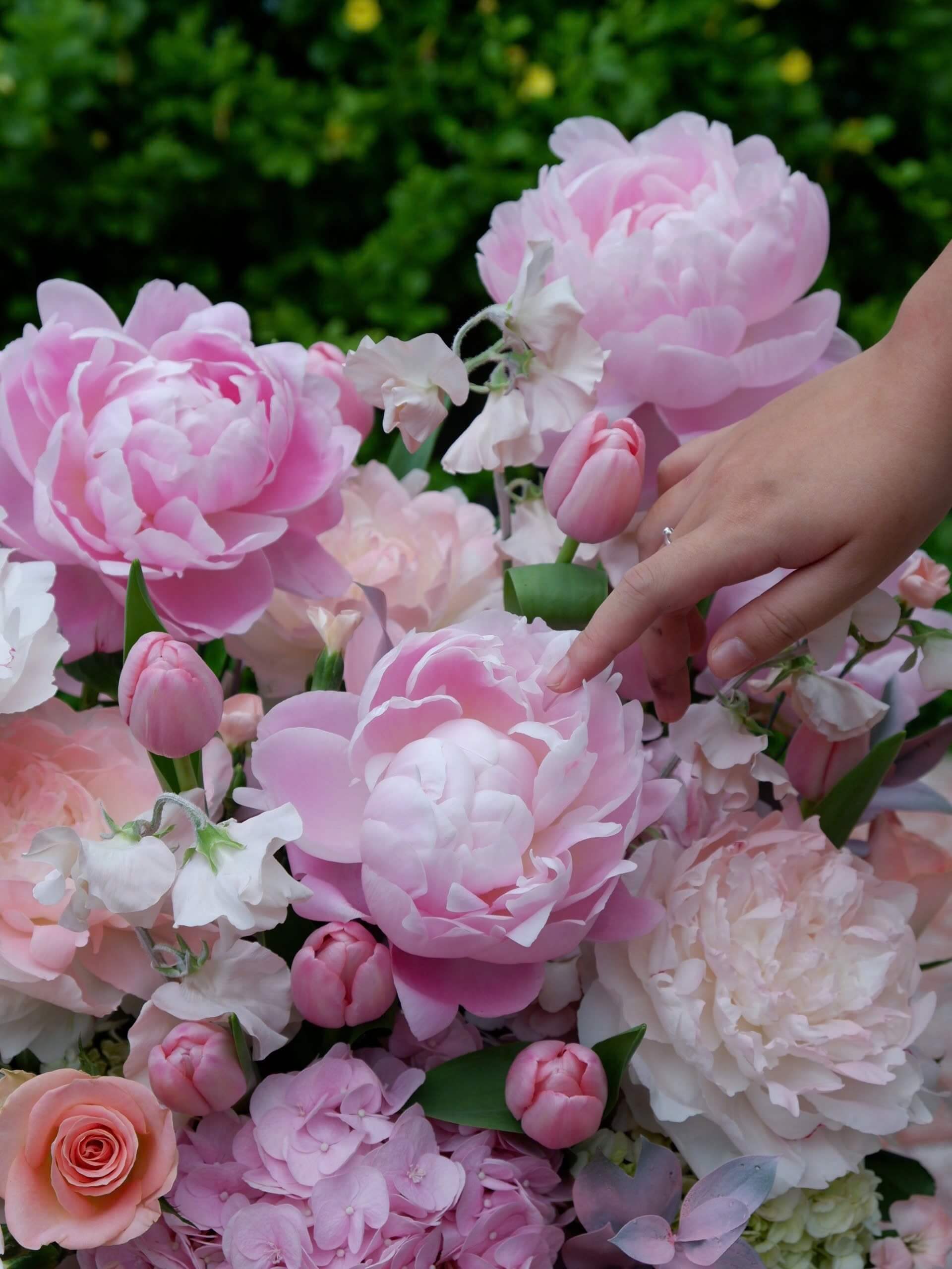 Sylvie Bloom