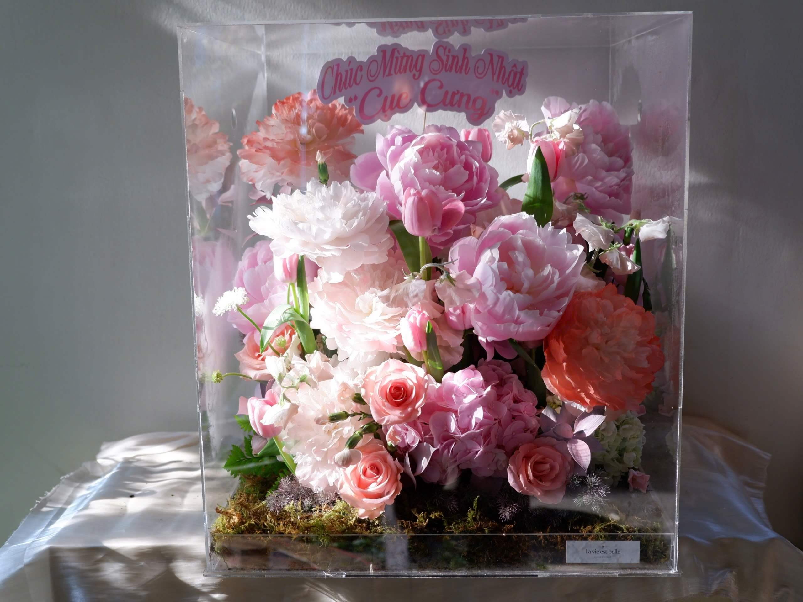 Sylvie Bloom