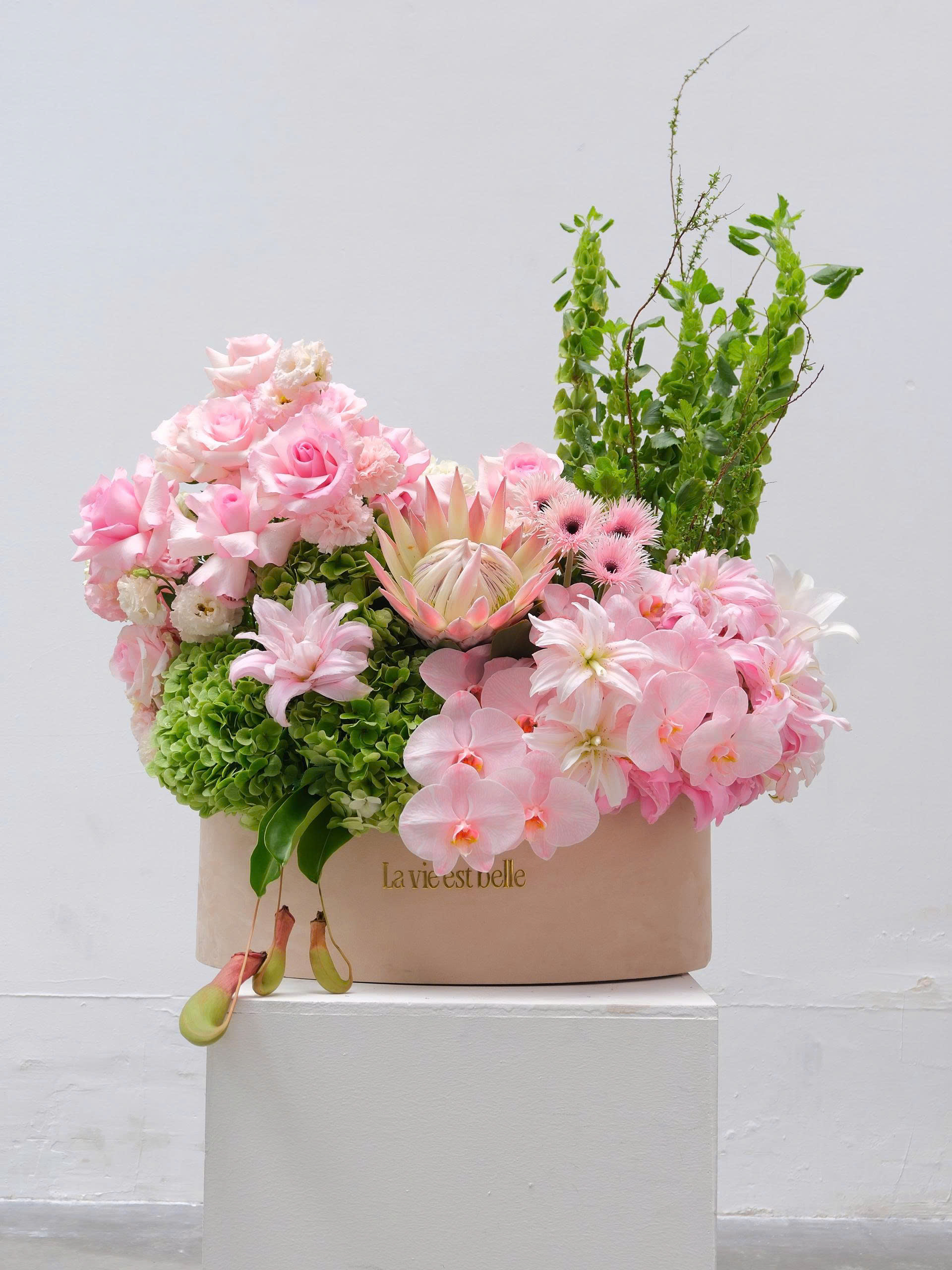 Serenade Herbarium