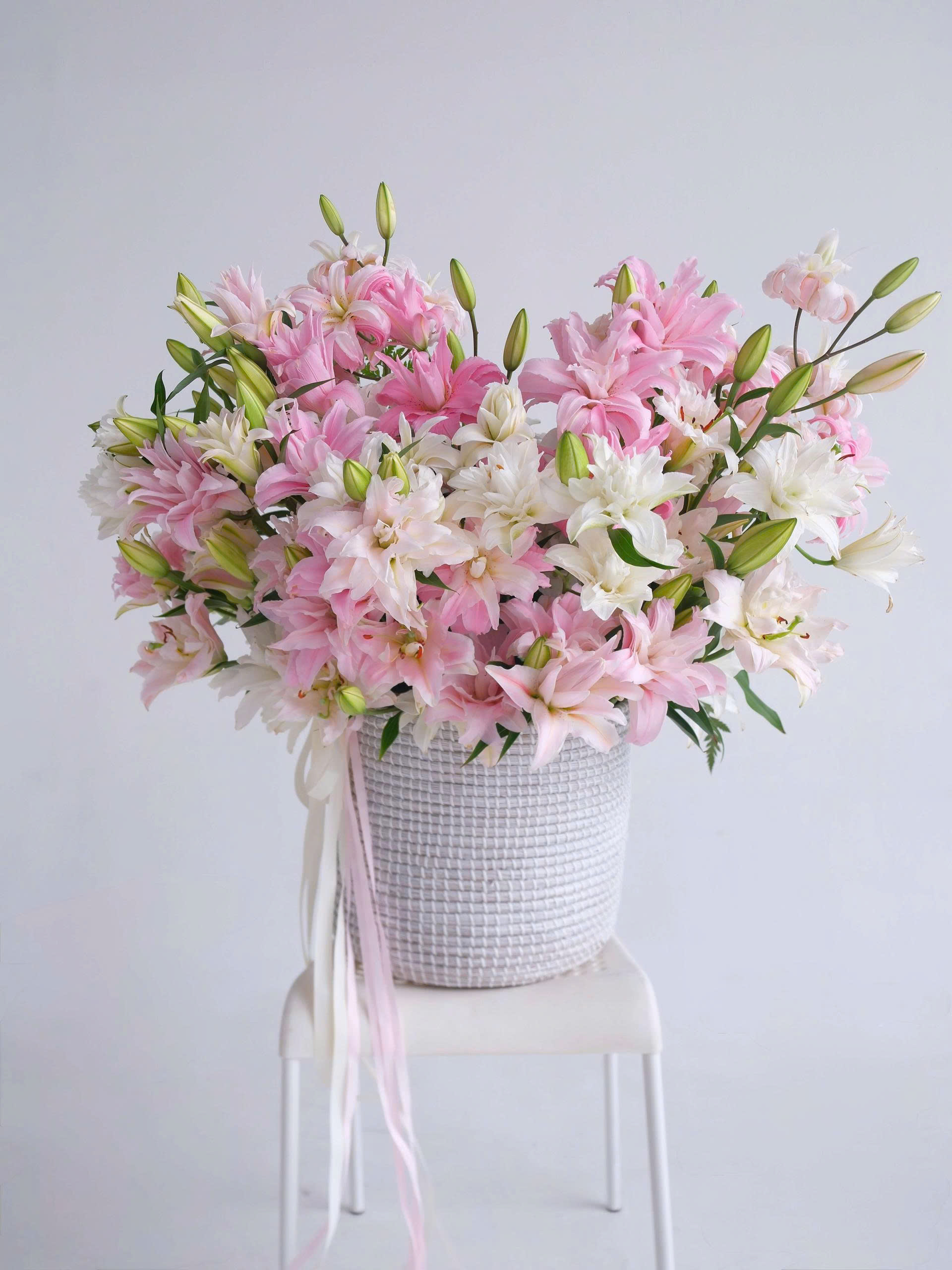 Lilium Royale