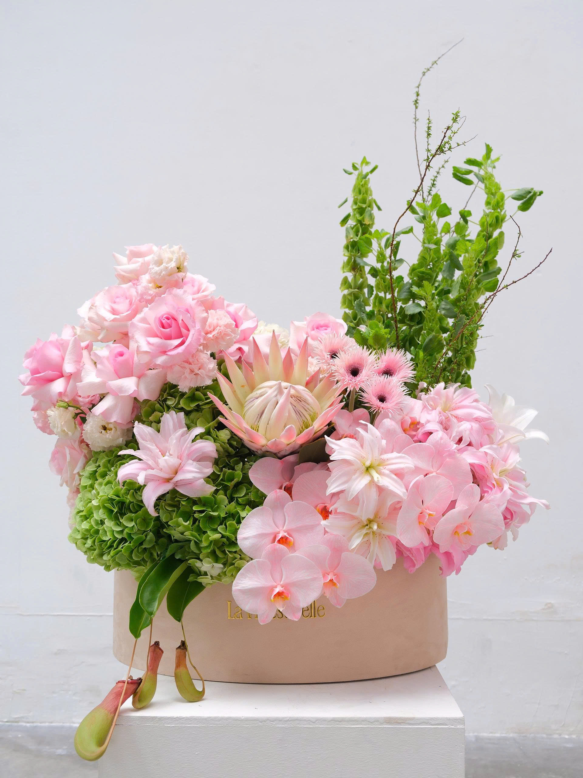 Serenade Herbarium
