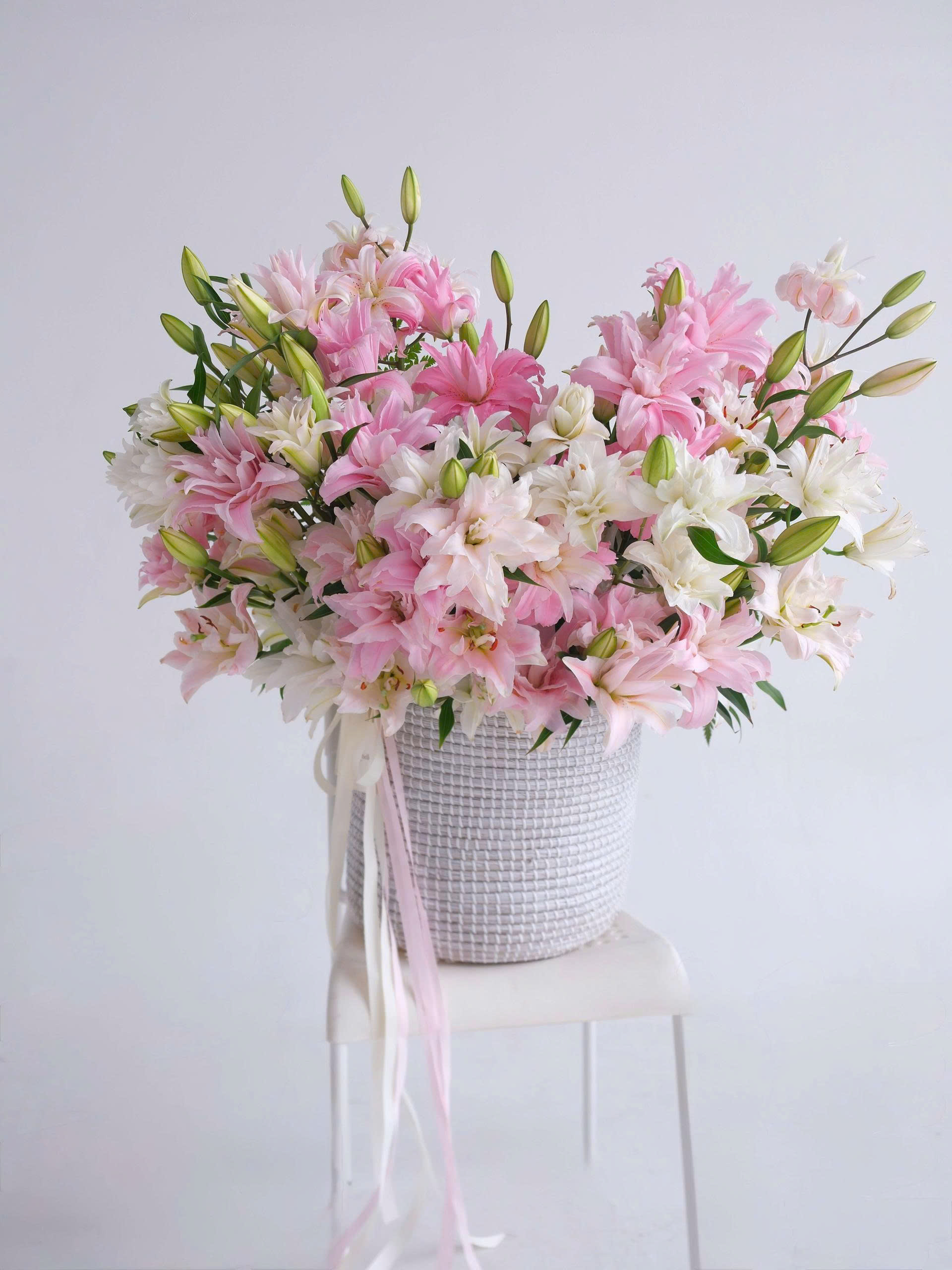 Lilium Royale