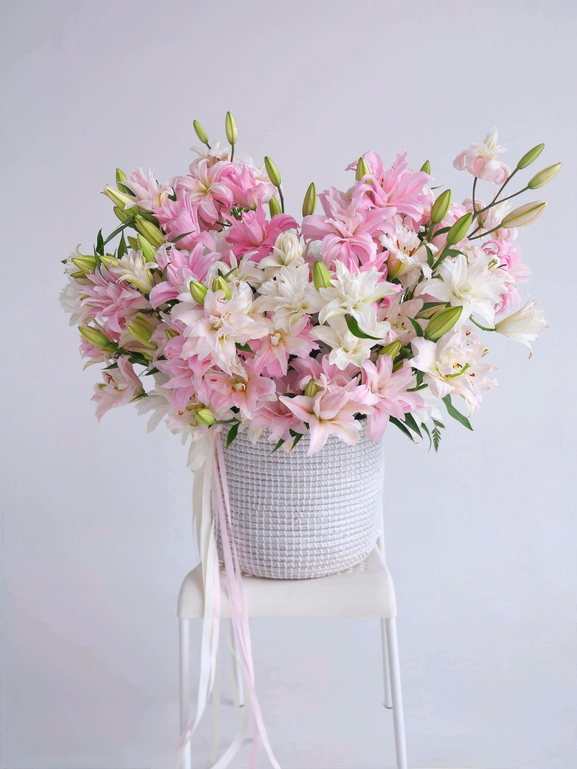 Lilium Royale